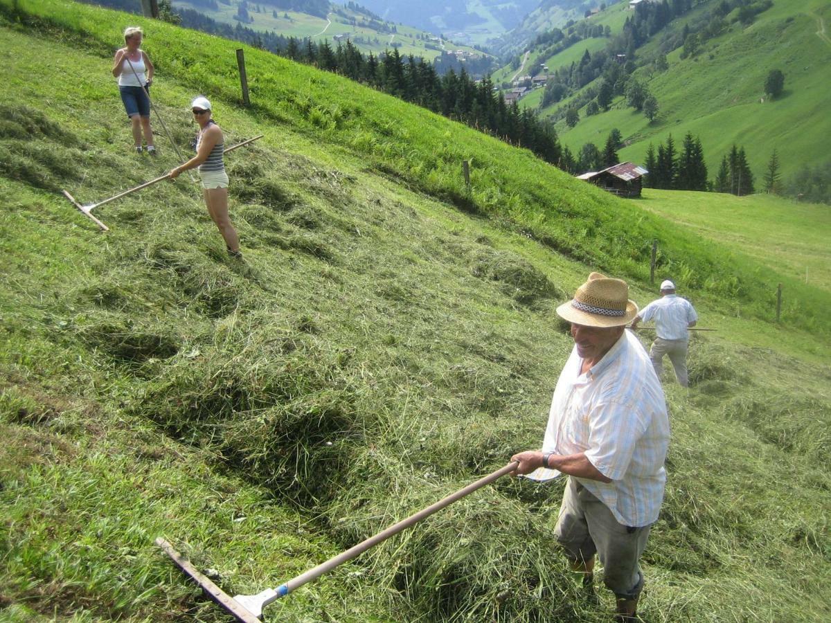 Pension Hedegghof Grossarl Exteriör bild
